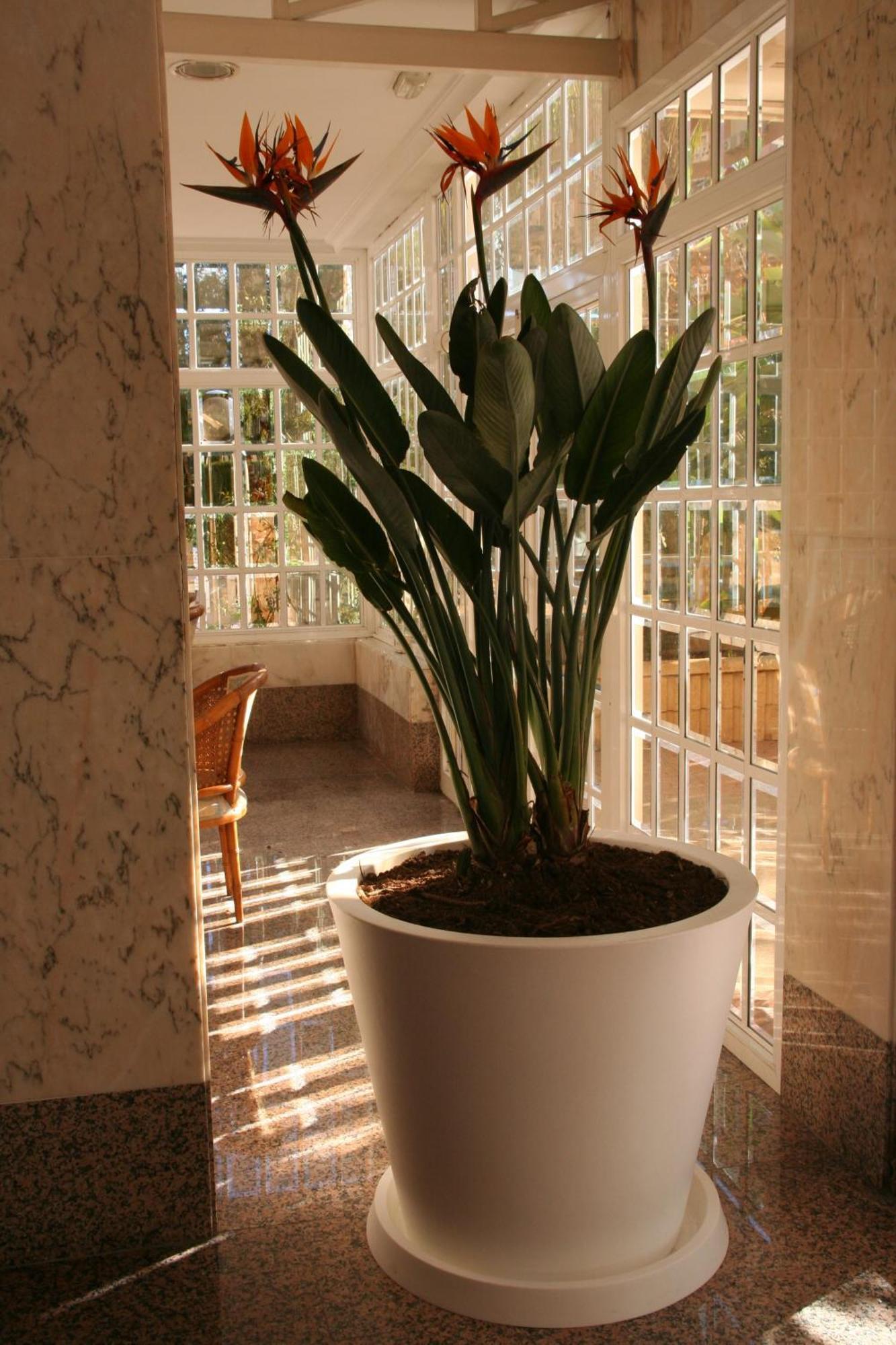 Apartamentos Maria Victoria Бенидорм Екстериор снимка